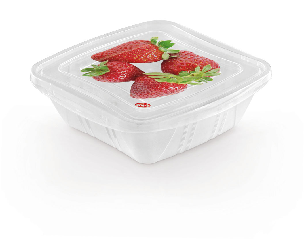 055000 FRESH CONTAINER QUADRATO 0,5 lt.