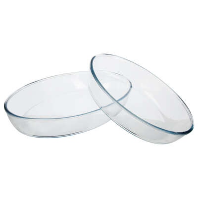 118532  GLASS OVAL DISH X2