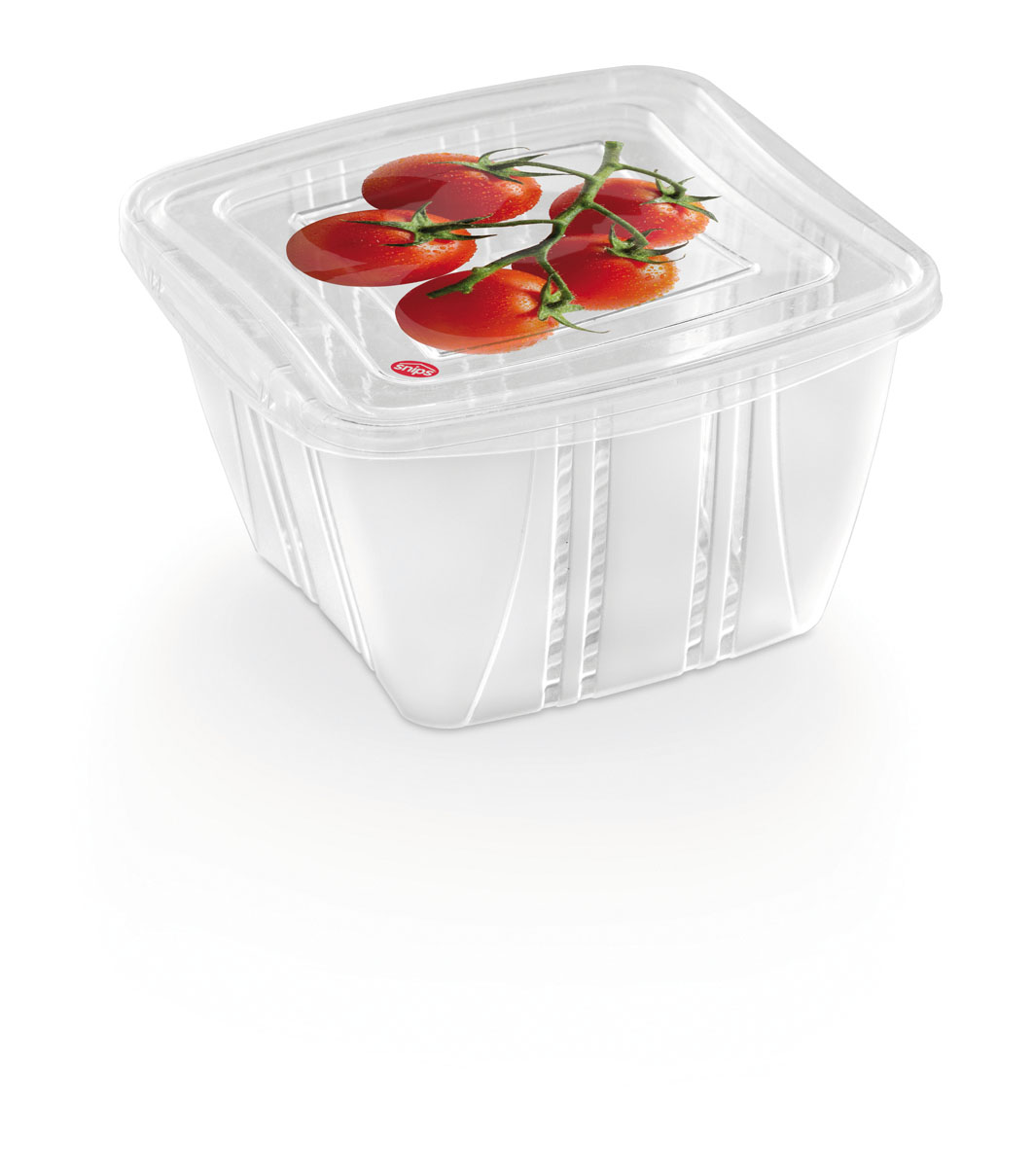 055005 FRESH CONTAINER QUADRATO 1 lt.