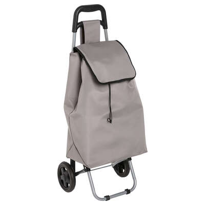 117014   BROWN TROLLEY  AQUARELLE