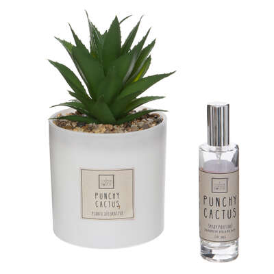 172739   CACTUS SCENTED GIFT SET